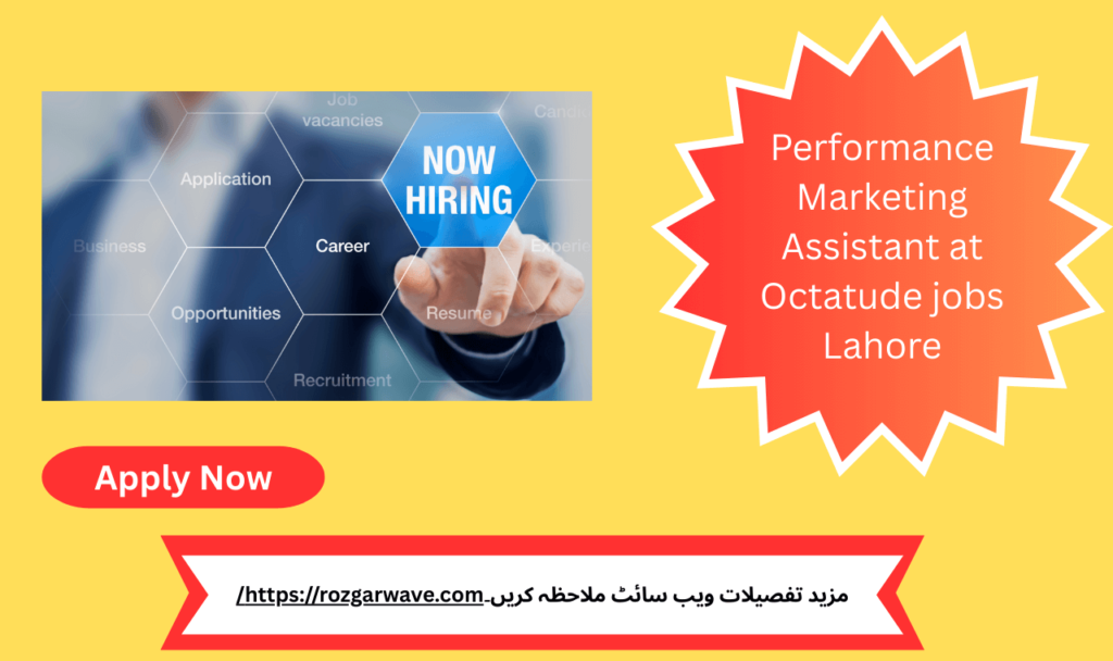 Performance marketing assistant reviewing campaign metrics on screen at Octatude Lahore office