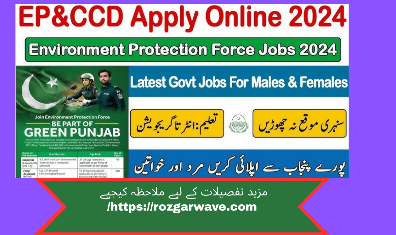 Official government driver operating vehicle for Environment Protection & Climate Change Department, Lahore, Pakistan