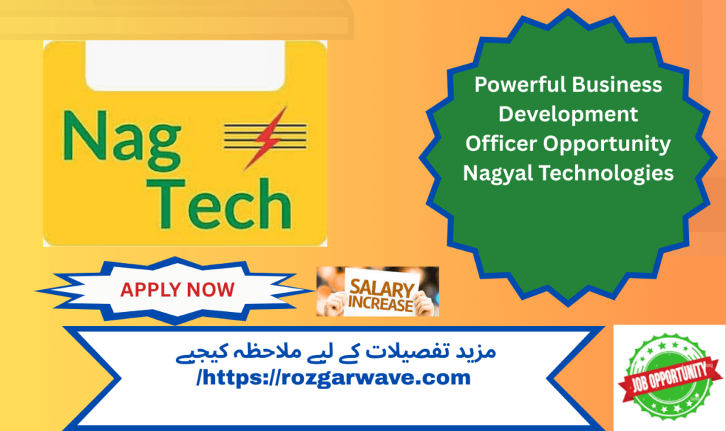 Professional business development officer presenting sales strategy at Nagyal Technologies office in Pakistan
