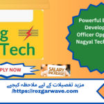 Professional business development officer presenting sales strategy at Nagyal Technologies office in Pakistan