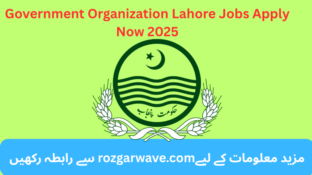 Government Organization Lahore Jobs Apply Now 2025