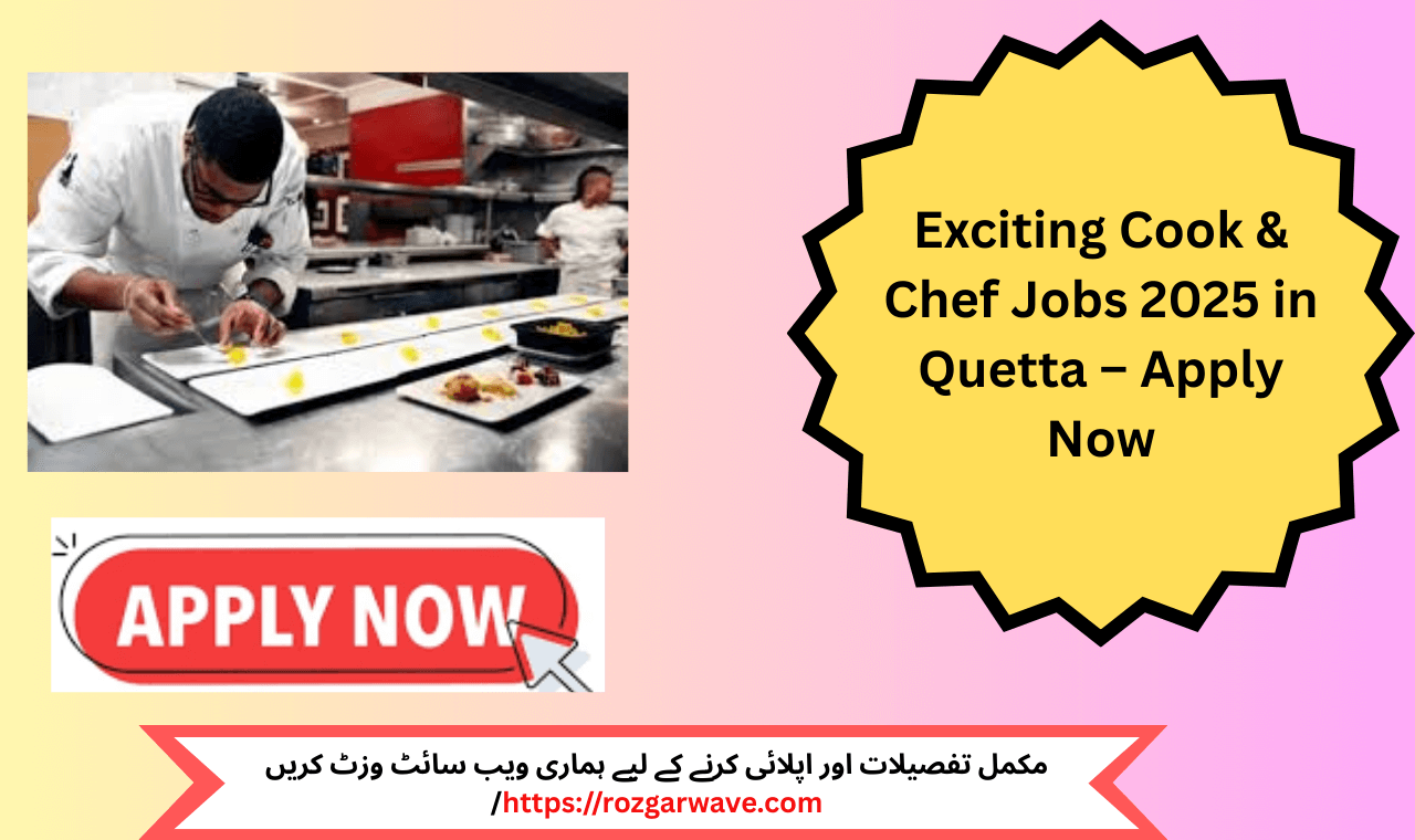 Cook & Chef Jobs 2025 in Quetta – Restaurant kitchen staff at work