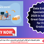 Data Entry & IT Specialist Jobs in Islamabad Software House 2025