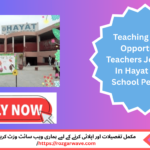 Teachers Jobs 2025 in Hayat Model School Peshawar – Apply Before June 7