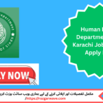 Candidates reviewing Human Rights Department HRD Karachi Jobs 2025 application process online