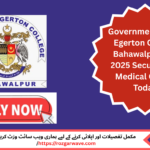 Government Sadiq Egerton College Bahawalpur MBBS Job 2025
