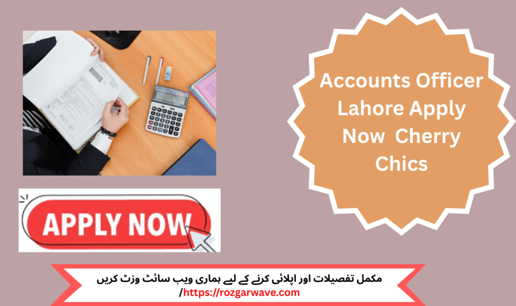 Accounts Officer using Excel for financial planning in Lahore office

