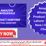 Amazon Wholesale Product Hunter Lahore analyzing product data