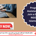 Program Assistant working in an office in Islamabad