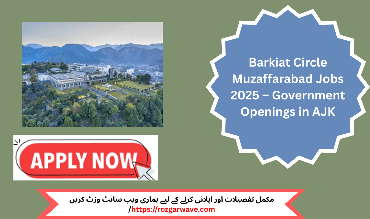 Assistant lineman working on electric pole in Muzaffarabad