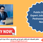 Public Dealing Expert guiding customer at travel agency counter in Peshawar.