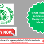 Assistant professor interviews at Healthcare Education Department