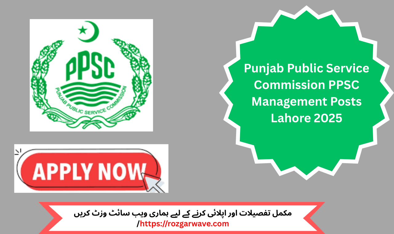 Assistant professor interviews at Healthcare Education Department