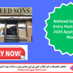 Candidates applying for Waheed Sons Data Entry Posts in Lahore 2025