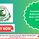 ob advertisement for Social Welfare & Bait Ul Maal Lahore Jobs 2025