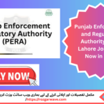 Punjab Enforcement and Regulatory Authority PERA Lahore Job 2025 – IT Resident Engineer vacancy, full-time government position in Lahore