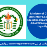 Elementary & Secondary Education Department AJK Jobs 2025 Apply Now Urgently